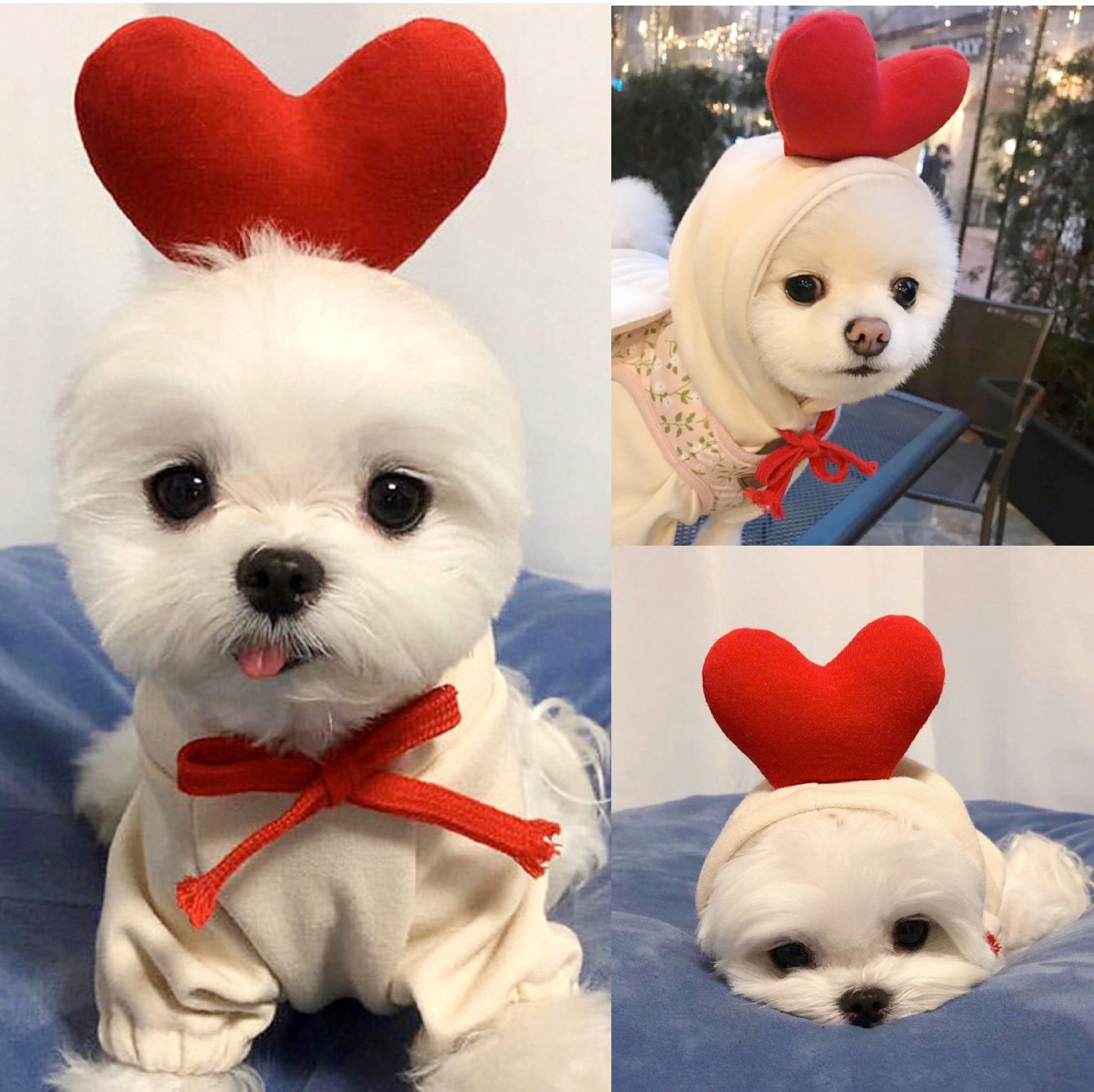 Winter Warm Fleece Hoodie for Pets