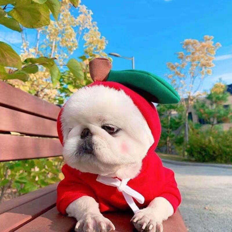 Winter Warm Fleece Hoodie for Pets