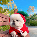 Winter Warm Fleece Hoodie for Pets