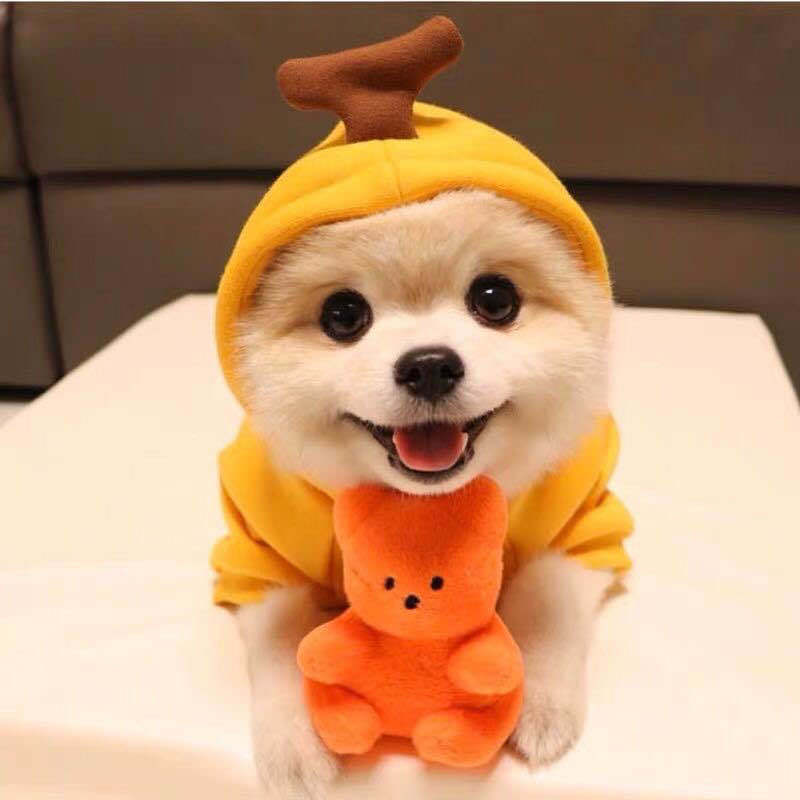 Winter Warm Fleece Hoodie for Pets