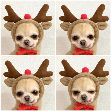Winter Warm Fleece Hoodie for Pets