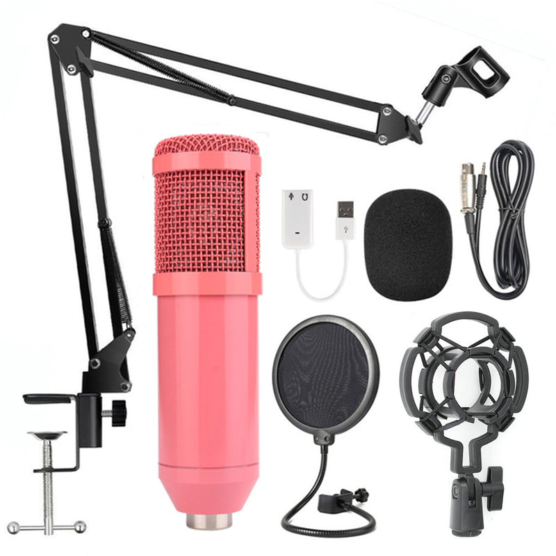 BM‑800 Microphone Set