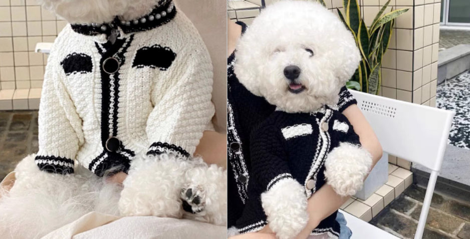 Dog Striped Knitted Sweater