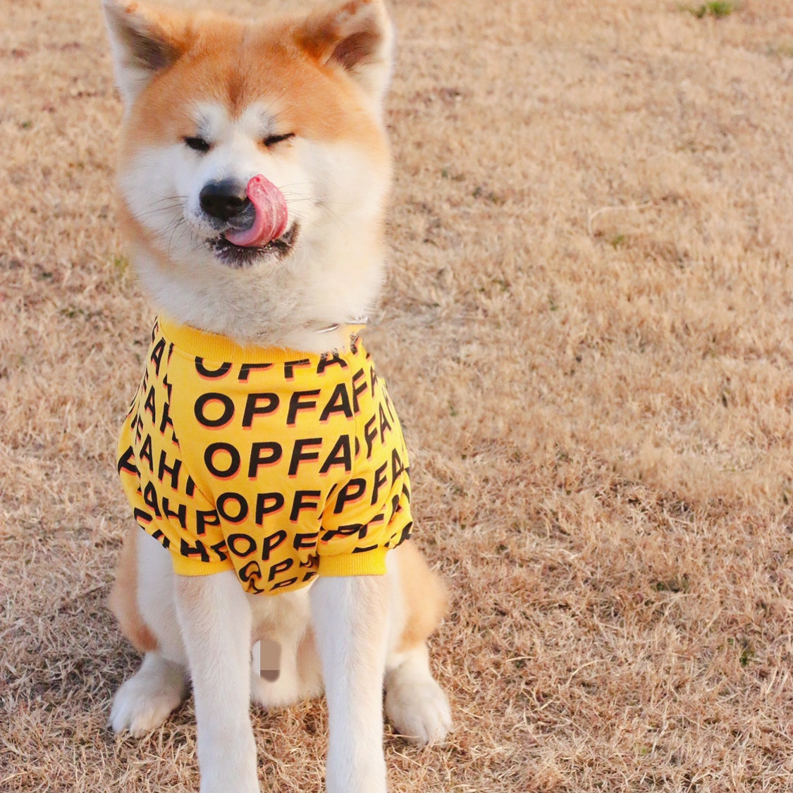 Fashion Simple Pet T‑Shirt
