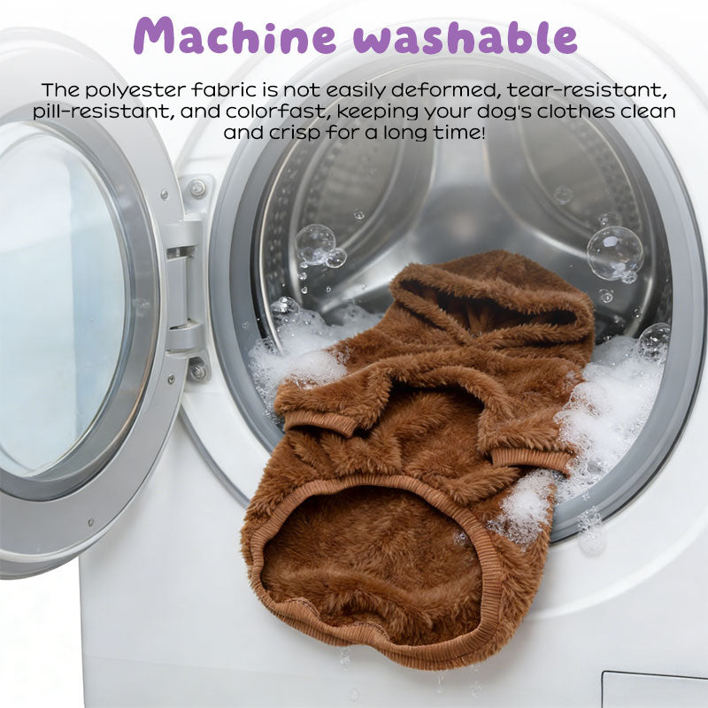 Cozy Comfort for Pets