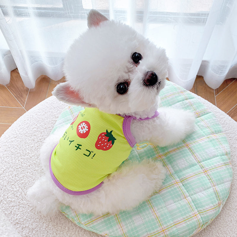 Dog Knitted Sweater Cardigan