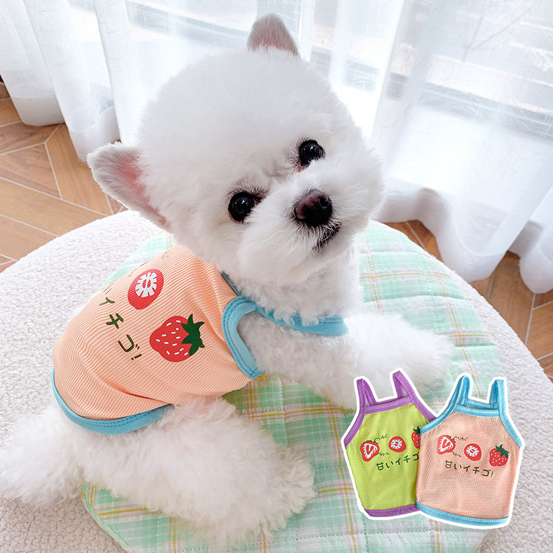 Dog Knitted Sweater Cardigan
