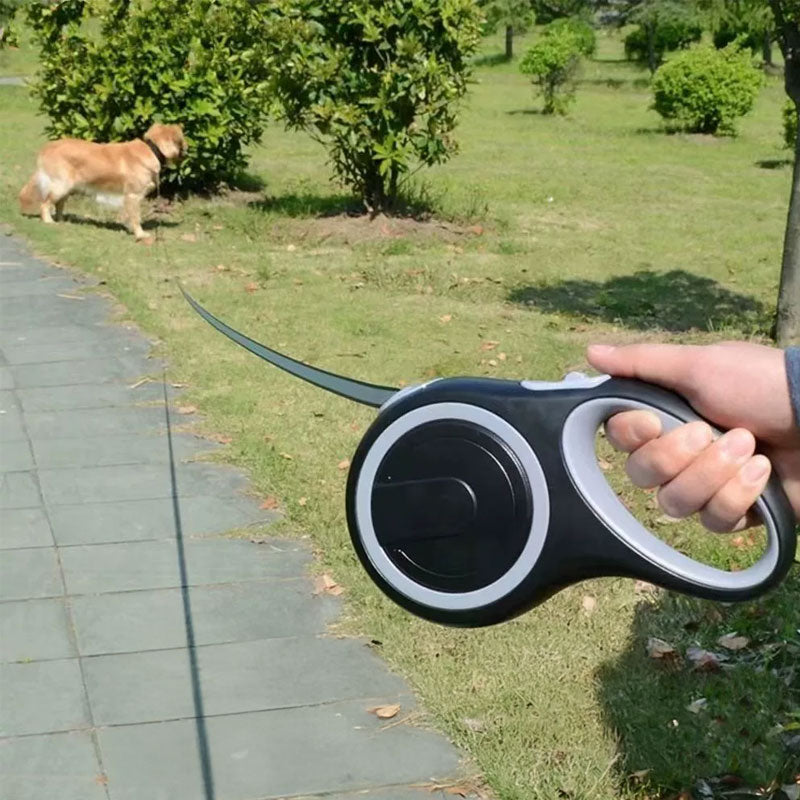 Retractable Pet Leash (5m/8m, 50kg Capacity)
