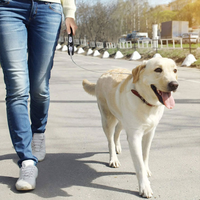 Retractable Pet Leash (5m/8m, 50kg Capacity)